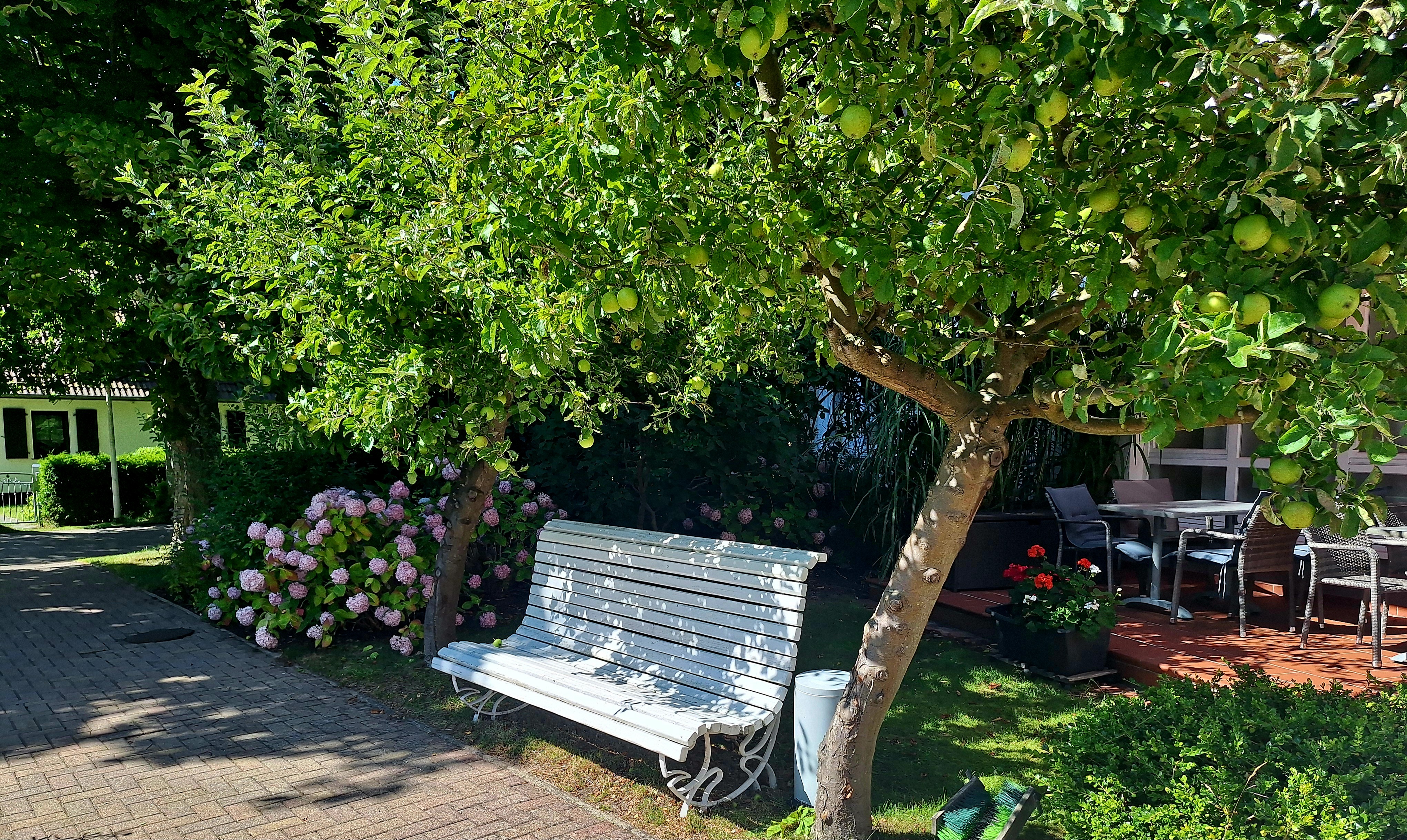 Weiße Bank unter einem Obstbaum im Garten