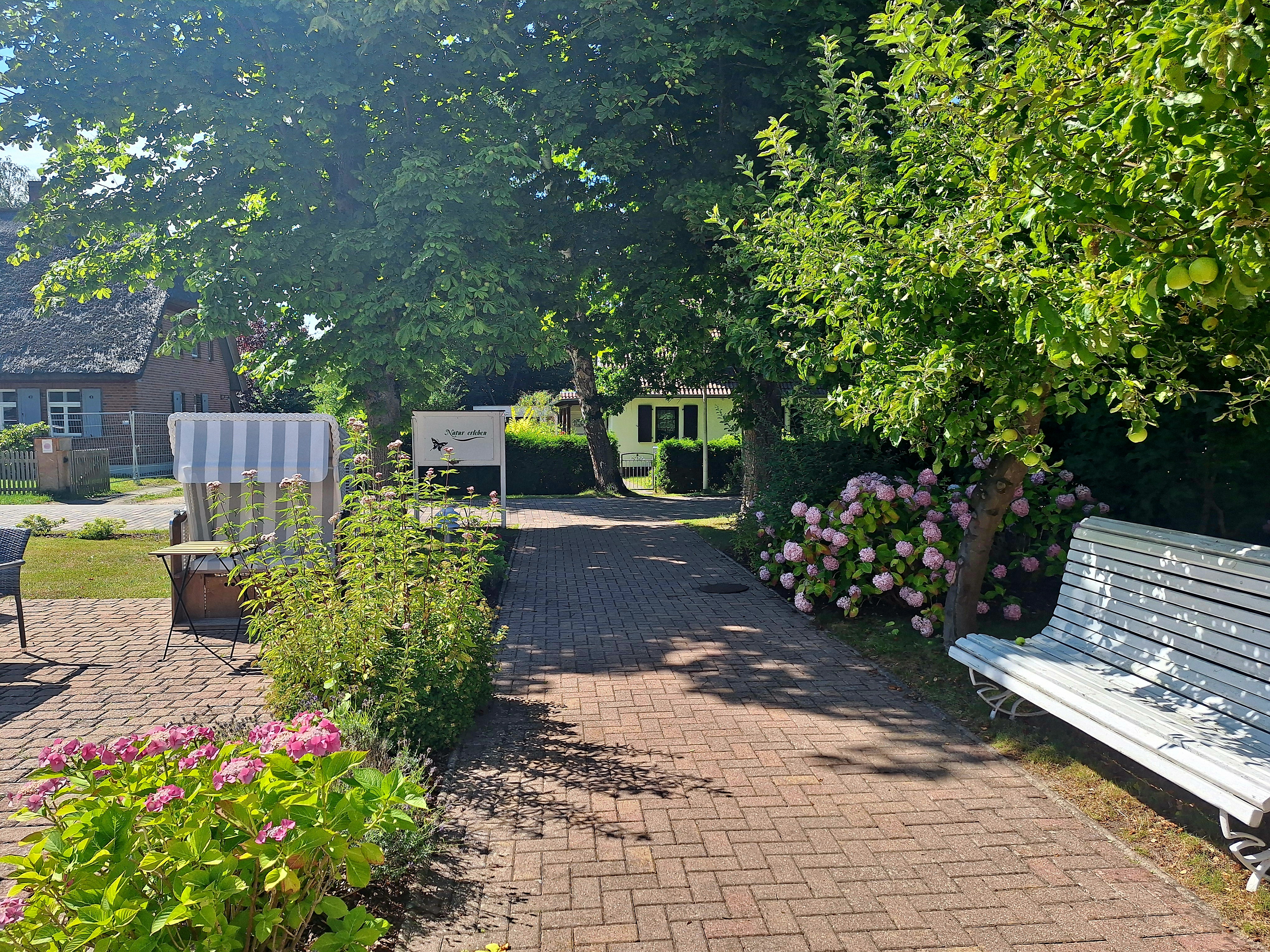 Gartenweg mit Hortensien und Strandkorb